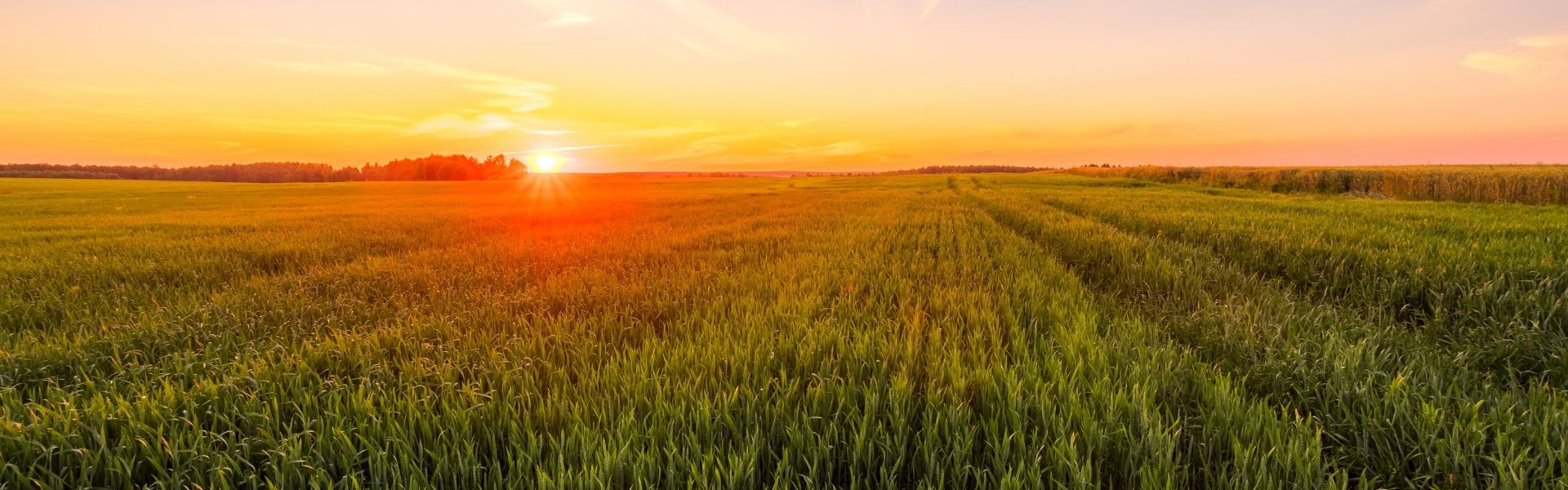 SIMA Agriculture